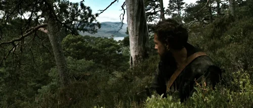valhalla_rising_frame_1749598489.0519617.webp