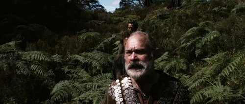 valhalla_rising_frame_1749598489.272584.webp