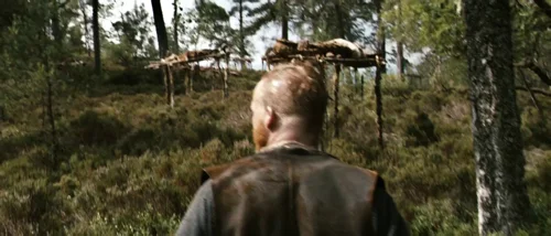 valhalla_rising_frame_1749598489.6257353.webp