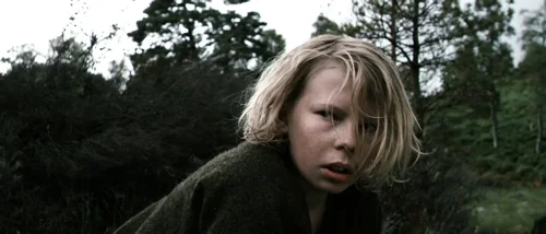 valhalla_rising_frame_1749598491.3868942.webp