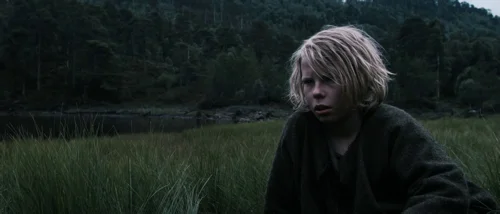 valhalla_rising_frame_1749598491.7550638.webp