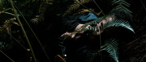 valhalla_rising_frame_1749598492.3662953.webp