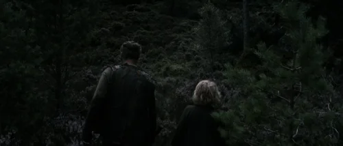 valhalla_rising_frame_1749598494.4004686.webp
