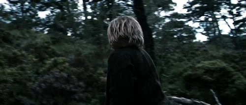 valhalla_rising_frame_1749598495.3446171.webp