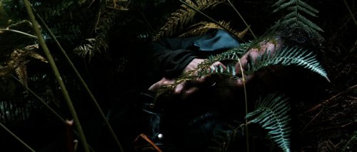 valhalla_rising_frame_1749598492.3662953.jpg