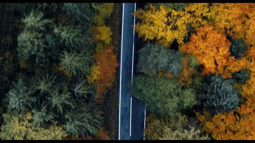 wednesday_frame_1738863310.2214057.webp